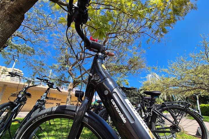 Valencia Highlights Bike Tour for Cruise Visitors