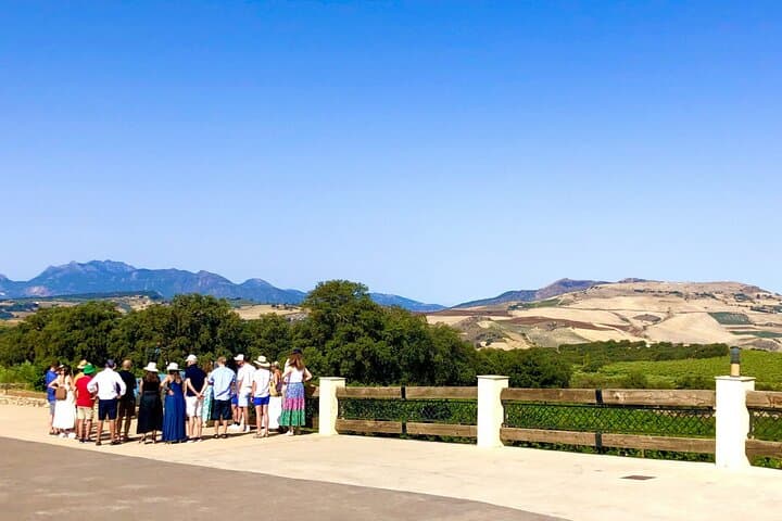 Ronda Wine Tasting with Tapas in a Scenic Vineyard