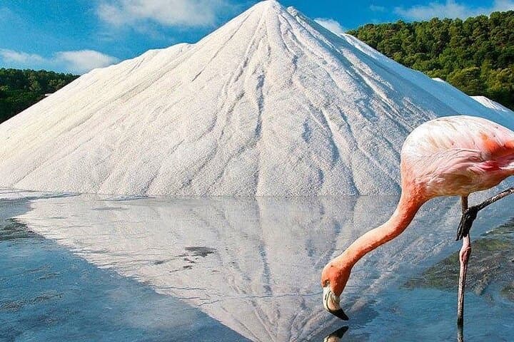 TOUR around the JEWELS of IBIZA SALT BEDS, ES VEDRA, TIME & SPACE