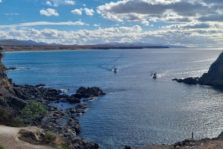 Watching the fishing boats arrive