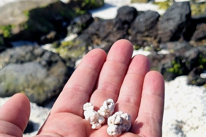 Popcorn Beach