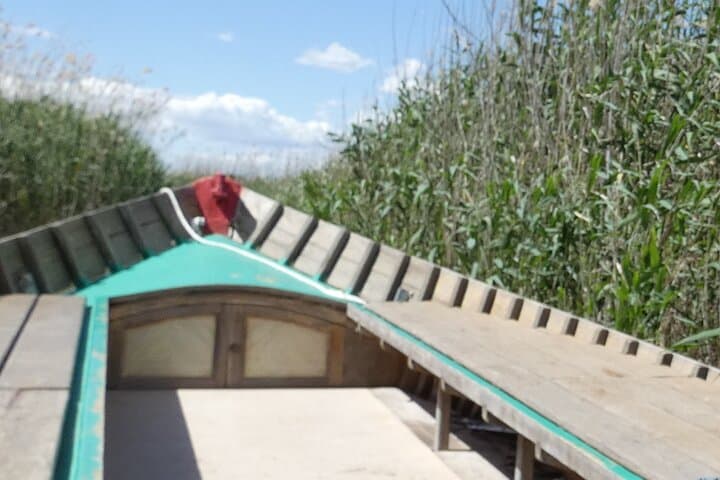 Port Saplaya Albufera Park and Paella Day Trip from Valencia