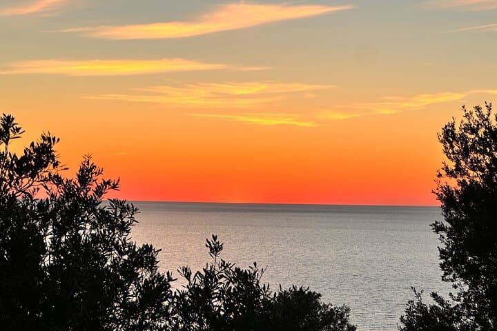 Valldemossa & Soller VIP Tour: Day or Sunset (Max 8 pers)