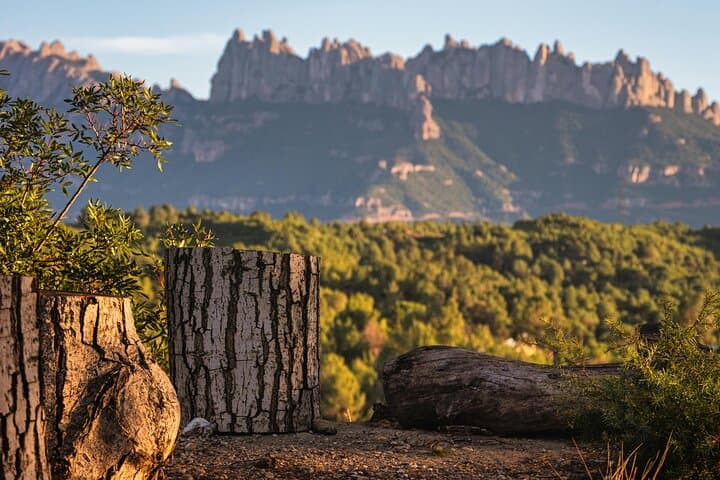 BARCELONA: Sagrada Familia and City Highlight Kids From £1