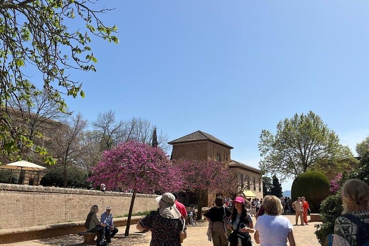 Alhambra Surroundings Guided Tour