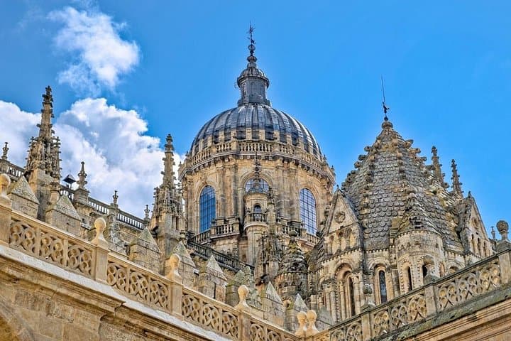 Salamanca and Iberian Ham Luxury Tour from Madrid