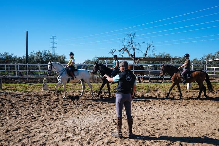 Horseback riding around Doñana National Park