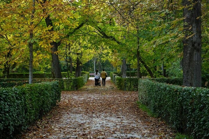Retiro Park Private Tour with Local Guide