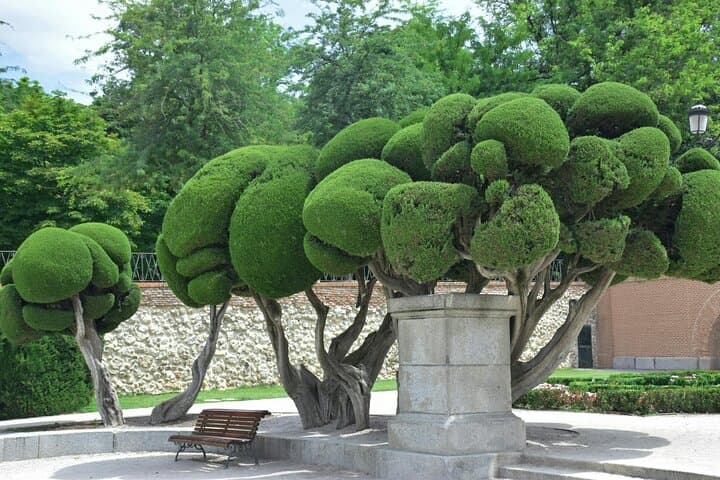 Retiro Park Private Tour with Local Guide