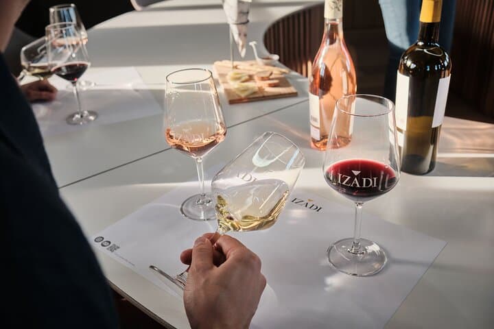 Visit to Bodegas Izadi