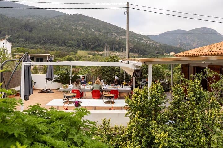 Ready for an unforgettable day, filled with aromas, fire, and passion? Because paella isn't just made with ingredients; it's made with soul. Reserve your spot now and join this unique experience!