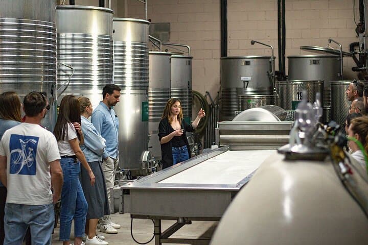 Vineyard walk and wine tasting in l’Empordà