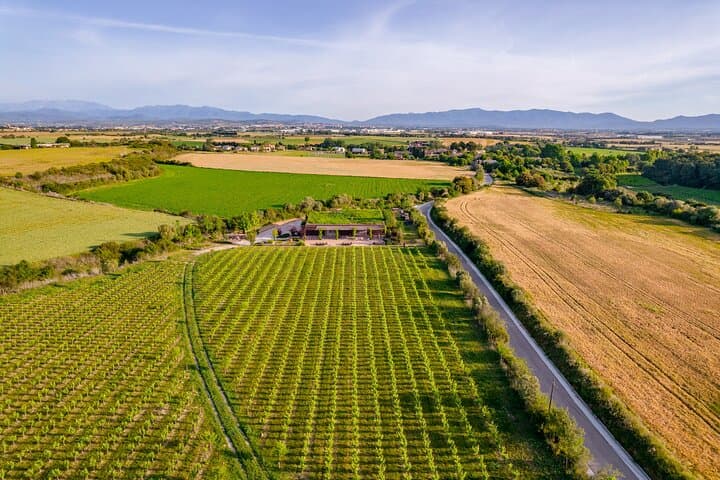 Horse Riding and Wine Tasting Experience