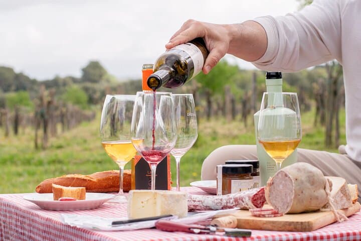 Gourmet picnic and wine tasting among the vineyards in l'Empordà