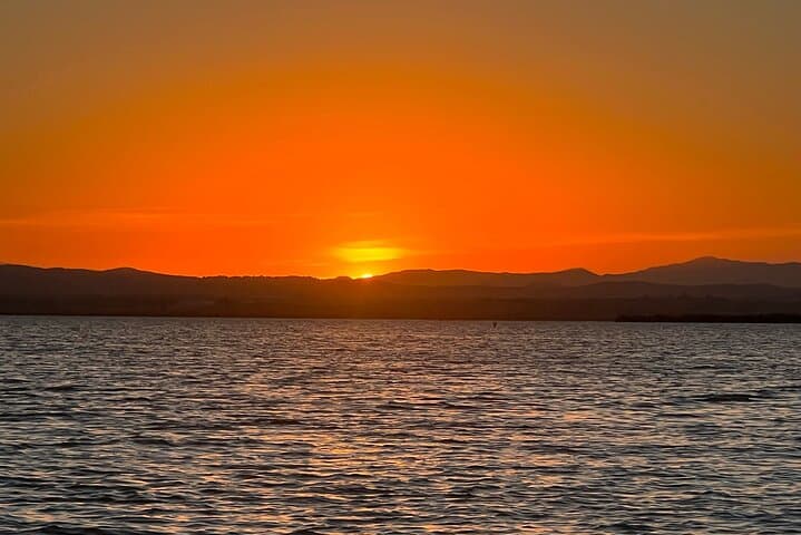 From Valencia: Albufera Boat Ride, Sunset & Paella Included