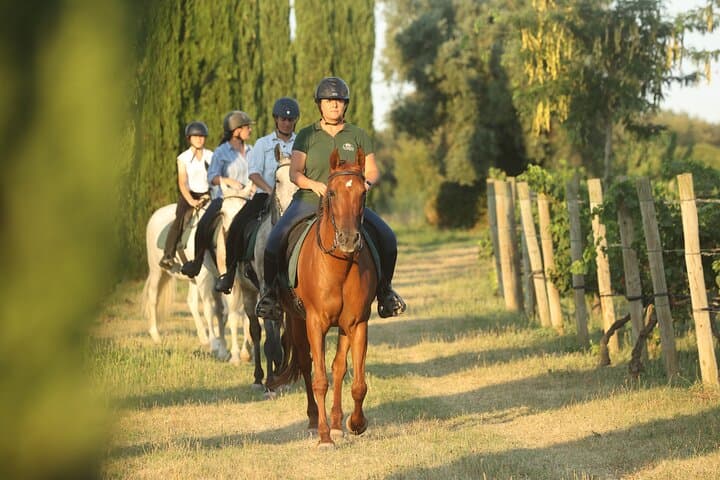 Horse Riding and Wine Tasting Experience