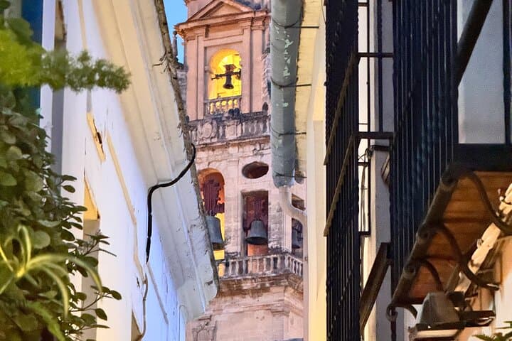 Private Transfer from Granada to Seville with Stopover in Cordoba