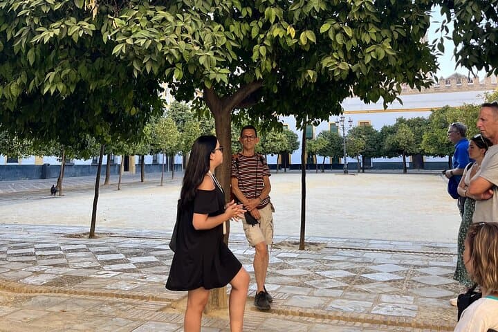Small group tour: Highlights of Seville