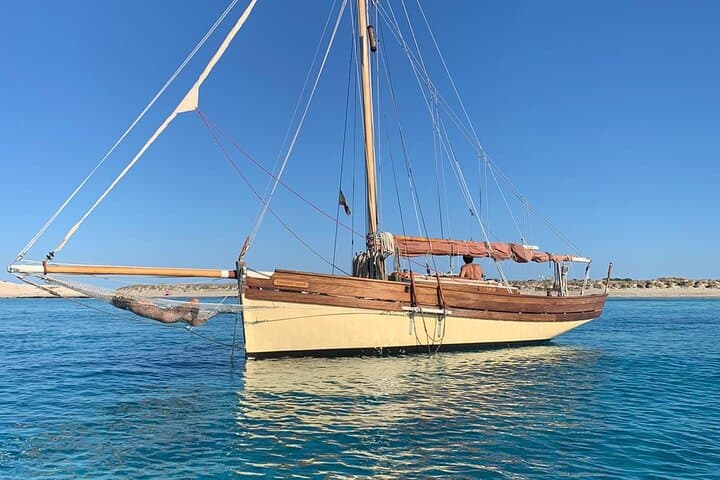 Exclusive walk through the best coves of the Bay of Palma