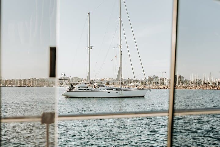 Boat trip and sea bathing