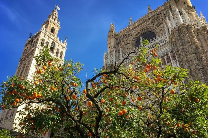 Seville Guided Tour: Cathedral, Giralda, and Royal Alcázar