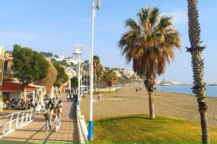 Tour at Malaga Fishing Scene with Cooking Workshop