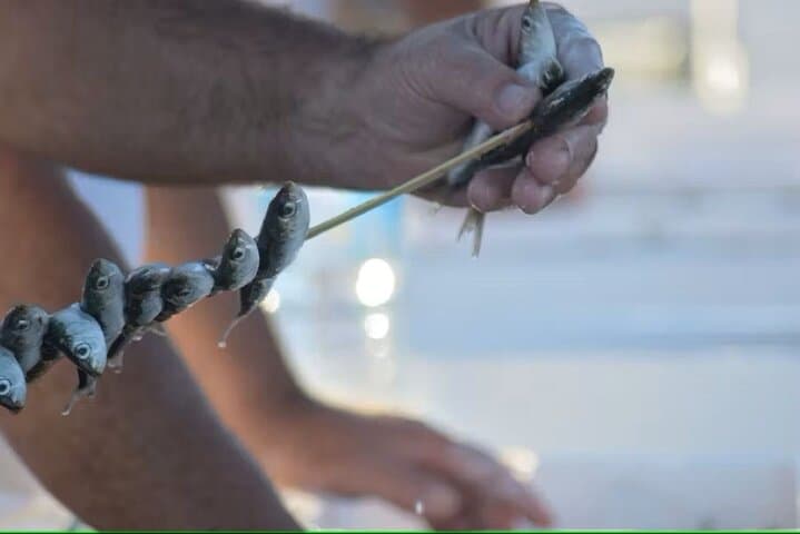 Tour at Malaga Fishing Scene with Cooking Workshop