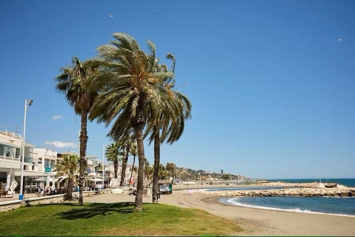 Tour at Malaga Fishing Scene with Cooking Workshop
