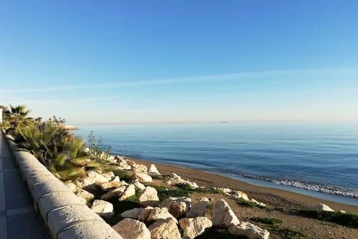 Tour at Malaga Fishing Scene with Cooking Workshop
