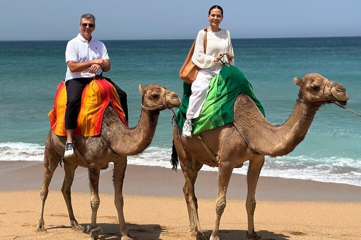 Morocco Day Trip from Malaga All Inclusive