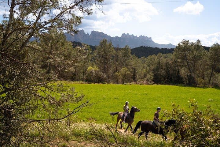 Montserrat Horseback Riding & Monastery – Premium Small Group