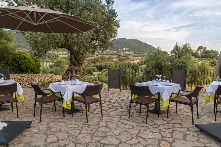Treurer Mediterranean Barbecue Night
