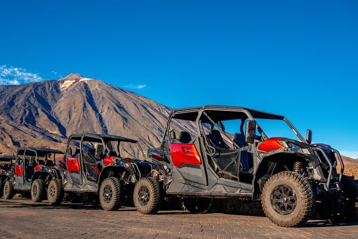 Guided Buggy Tour through Teide National Park