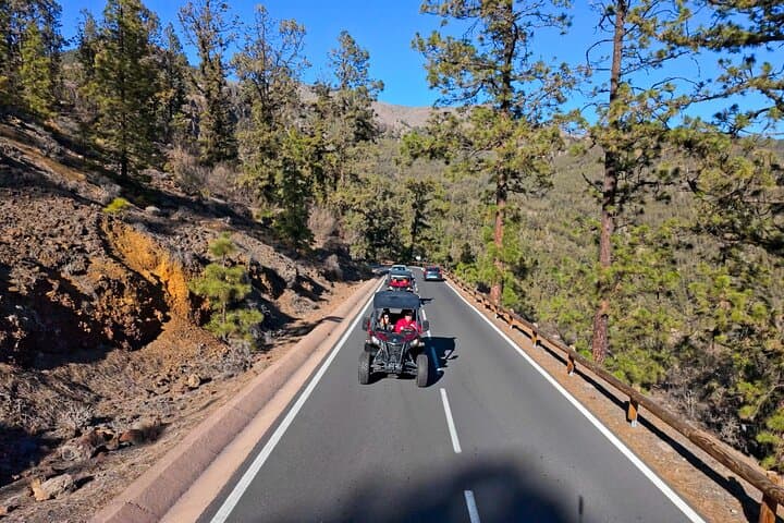 Guided Buggy Tour through Teide National Park