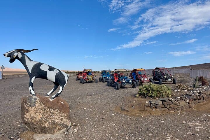 Buggy Safari in Caleta de Fuste