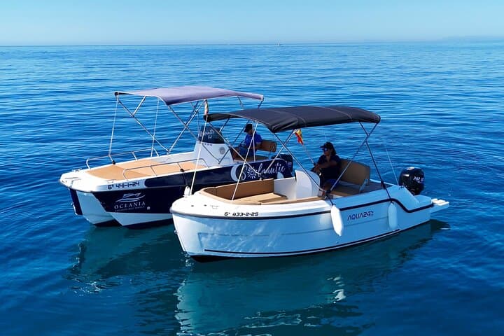 New 2026!! Unlicensed boat for dolphin watching