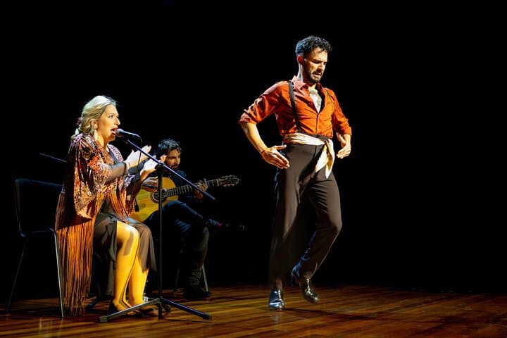 Flamenco Show in Granada's Albayzín Cave with Tapas Dinner