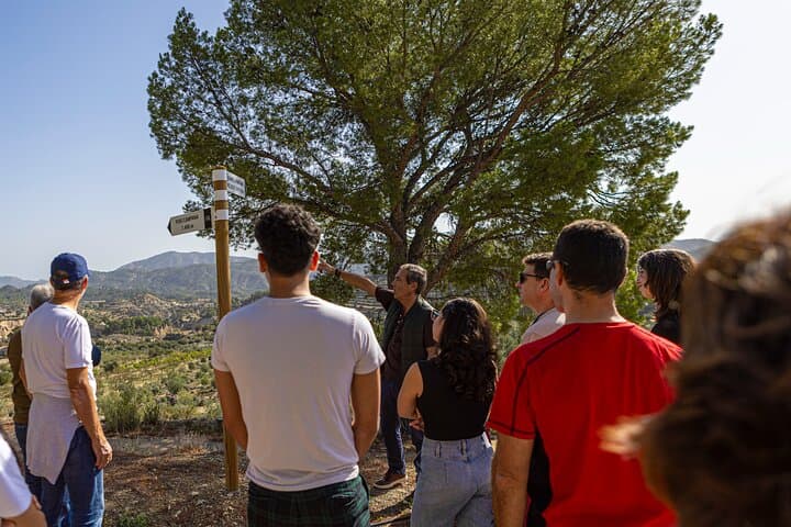 Olive Oil Farm Tour, Tasting & Picnic in Alicante
