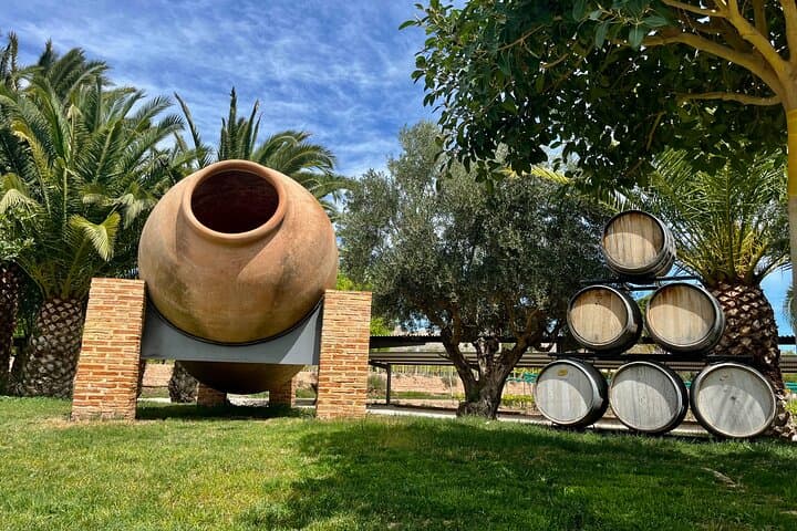 Alicante: Wine Route with Tastings and Appetizer