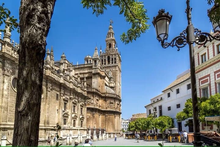 Seville Sightseeing Tour with Rooftop Bar Visit