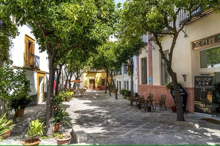 Seville Sightseeing Tour with Rooftop Bar Visit