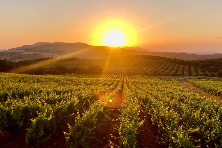 From Cádiz Ronda Premium Private Day Tour with Wine Tasting
