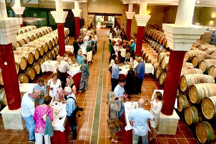 From Cádiz Ronda Premium Private Day Tour with Wine Tasting