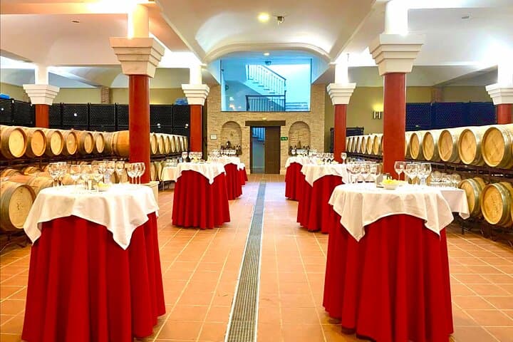 From Cádiz Ronda Premium Private Day Tour with Wine Tasting
