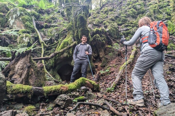 Tenerife Hiking in Enchanted Forest Above Masca with PICKUP