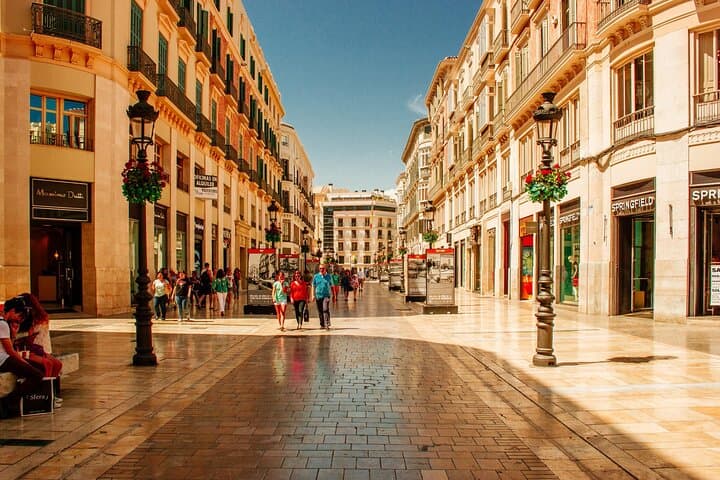 VIP Private Walking Tours in Málaga