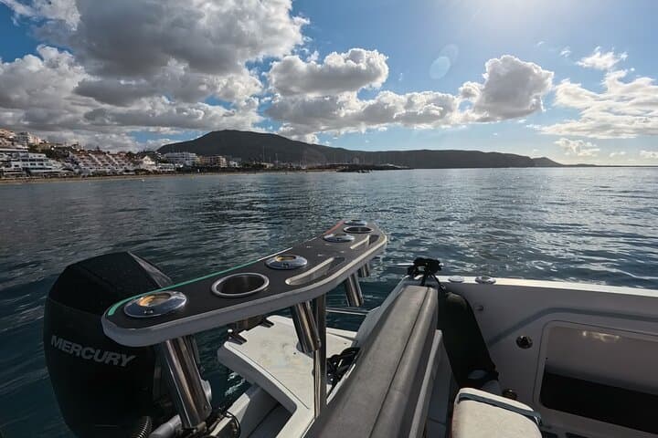 Private Boat Tour in Tenerife South