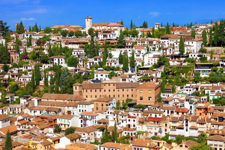 VIP Private Walking Tour in Granada