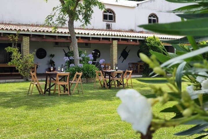 From Cádiz, Chiclana de la Frontera Winery Tour with Lunch