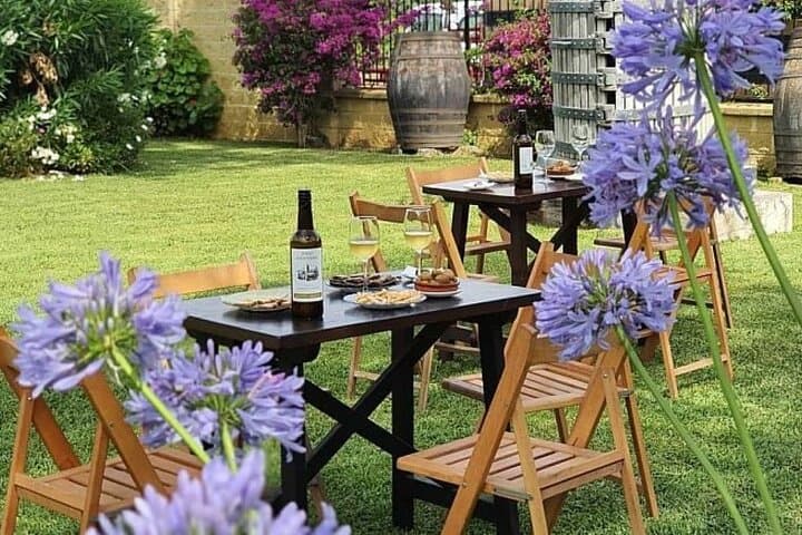 From Cádiz, Chiclana de la Frontera Winery Tour with Lunch